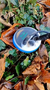 10K views · 60 reactions | Treasure Hunter Finds Templar Knight's Crest with metal detector #metaldetecting #viralshorts #treasurehuntingr #reelsfypシシ #reelsviralfb #reelsfypシ #reelsfyp #reelschallenge #treasure #metaldetecting | DetectorSound | Facebook