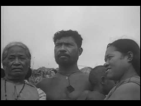 WW2: USMC Peleliu Operations, Palau Group, West Caroline Islands, West Pacific (Oct. 15, 1944)