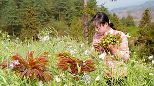 Here you can see the real Chinese pastoral scenery and food culture, thank you for subscribing to my channel, thank you! #Chinesefood #chinesegirl #野小妹 #贵州 #Fruit #Countryside #food #Landscape | 野小妹 Wild girl