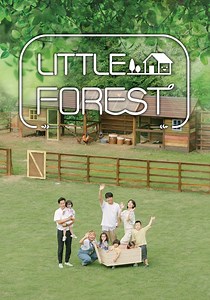 Little Forest - streaming tv show online