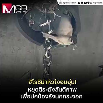 Heartwarming Hiroshima! Peace Bell silenced to protect sparrow nest : Coco News
