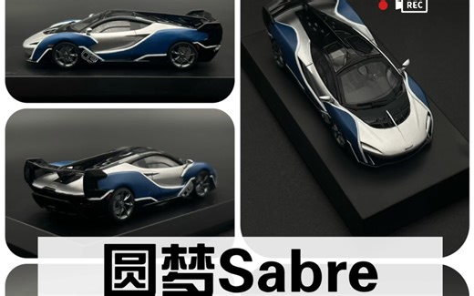 9个月圆一个男孩Sabre的梦