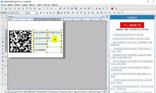 二维码生成软件如何批量制作流水号GS1 DataMatrix二维码及其右侧文本（二）