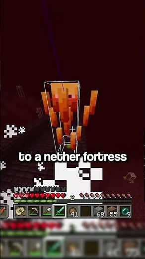 The MINECRAFT WORLD RECORD