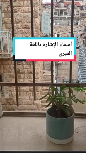 أسماء الإشارة باللغة العبرية, Demonstrative Pronouns in Hebrew #عبري #learnontiktok #القدس #عبري_مع_شوشانا #ללמוד_עברית #fyp