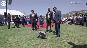 8.4K views · 59 reactions | This graduation ceremony has gone viral,...