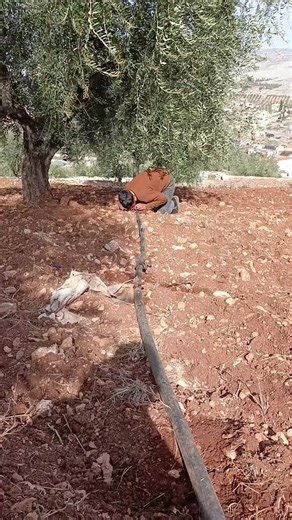 #شعب_الصيني_ماله_حل😂😂 #شعب_الصيني_ماله_حل😂😂 #عفرين_قامشلي_كوباني_درباسيه_ديريك #اخر_من_يعمل_الترند🙂💔😂 #جنديرس #حلب