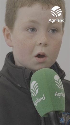 Tough to pick just one favourite type of machinery #Ploughing2025 | Agriland.ie