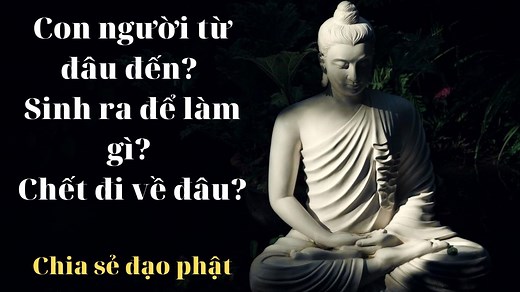 Con người từ đâu đến? Sinh ra để làm gì? Chết đi về đâu? - Chia sẻ Đạo Phật