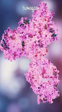 Understanding Hashimoto’s Thyroiditis: Symptoms & Treatment