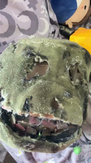 Spring trap mask update 2