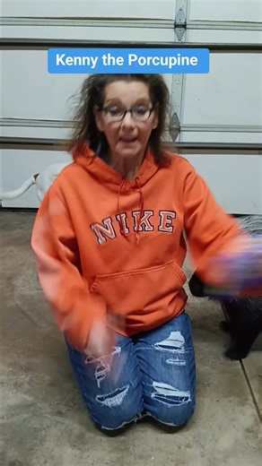 Kenny the Porcupine new favorite snack. Little Bites Muffins. #kennytheporcupine #africancrestedporcupine #porcupinesoftiktok #petporcupine #littlebitesmuffins