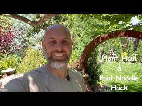 Plant Haul & Pool Noodle Hack