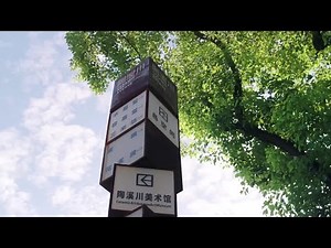 世界の観光客を魅了する、陶磁器の都 江西省景徳鎮