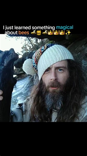 Don't bug out, honey #nature | royal jelly