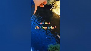 Fishing Joke 73 jokes fishingjokes humor joke