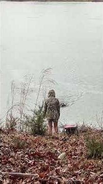 Blume | HRC Started Hunt Test West MS February 2026