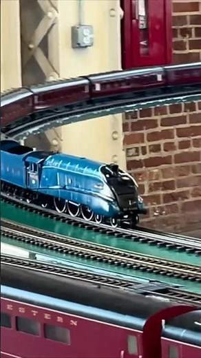 Live Steam Race #railfanning #trains #livesteamtrains #livesteam