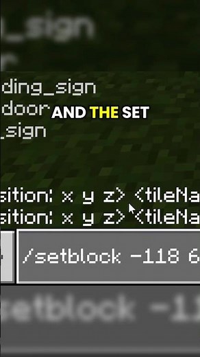 The basics of the /setblock commands by@TheCommandsMan #commandblock #commands #minecraftbedrock