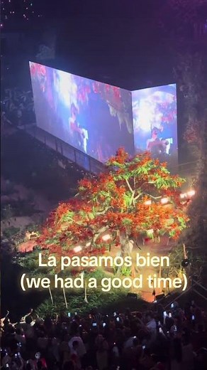 Students will be memorizing “Turista” by Bad Bunny to learn irregular preterite verbs in Spanish