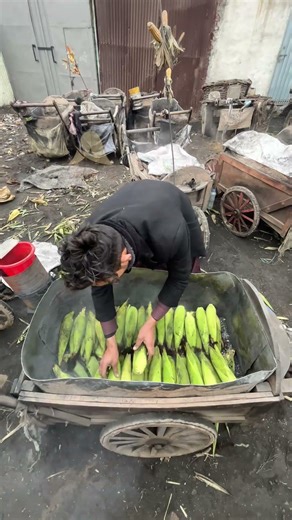 🌽 Roasted Corn on the Cob | Satisfying Street Food Making Process