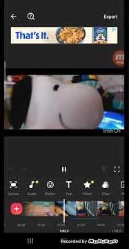 snoopy watches the paramount dvd. Ft star butterfly