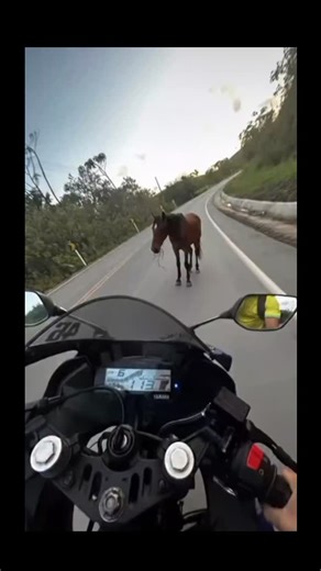 BsuMilGrau on Instagram: "Efii"