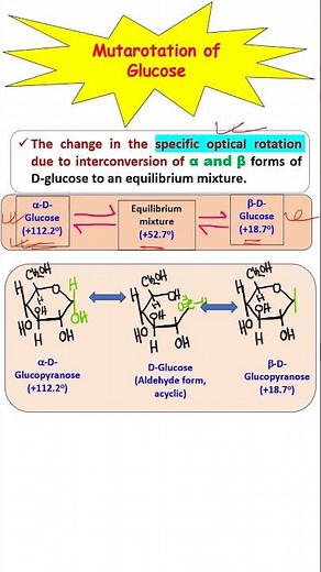 Mutarotation of Glucose #neetbiology #biochemistry #biomolecules #carbohydrates