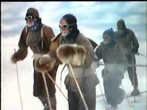 Amadeus - Delta 2010