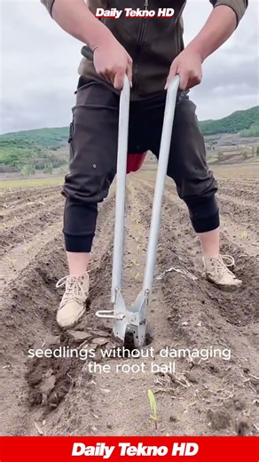 Transplanting Seedlings in Seconds 🌱 What a Clever Farm Tool! #SmartFarming