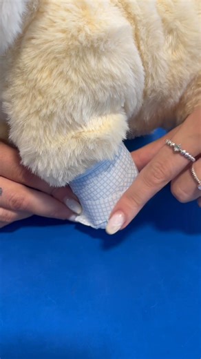 🐶 Der süßeste kleine Patient warte nur darauf, von euch umsorgt zu werden! ❤️‍🩹 Autsch! 🐾 Aber keine Sorge - mit ganz viel Liebe wird Cooper wieder gesund! ✨ | Smyths Toys Superstores DACH