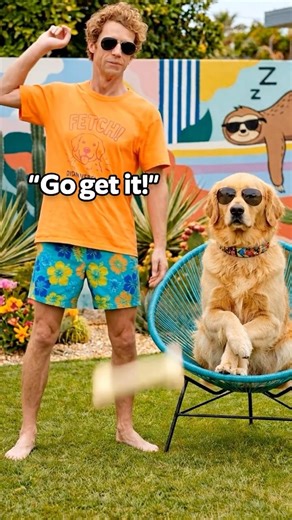 👉 😂 “If This Wasn’t My Dog… 😭” Ep 237 #shorts #funny #viral