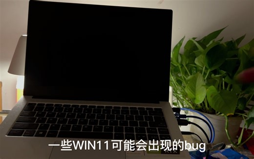 【BUG向】WIN11开机不亮屏