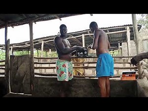 Mastering Pig Injections: A Step-by-Step Guide On How To Give Pigs Injection