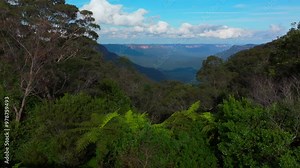 Blue Mountains Gum Tree Eucalyptus Forest aerial drone Katoomba Sydney NSW Australia sunny bluesky Three Sisters Echo Point Lookout cliff walk World Heritage National Park afternoon backwards pan up