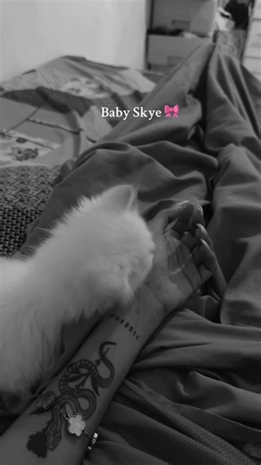 Baby Skye Digiloom Tutorial