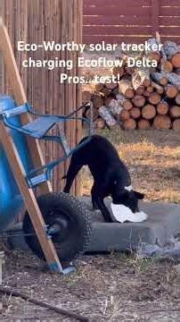 Eco-worthy solar tracker & Ecoflow Delta Pros