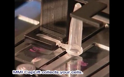 MMI CellCut激光显微切割工作流程 早期视频