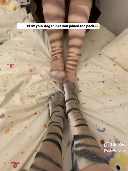 POV: You just found the most un-serious pair of socks ever. These 3D paw socks are so realistic your pets might actually get jealous. 🐶🐱 Why You’ll Love Them: 🐾 3D Paw Illusion – Your feet, but make them furry. 😂 Guaranteed Laughs – Perfect for prank videos or cozy chaos. 🐱 Pet-Approved – The ultimate “confuse your cat” accessory. 💤 Super Comfy – Stretchy, soft, and paws-itively snuggly. 💬 Call-to-Action: Tag someone who would actually wear these to the grocery store. 😹👇 #FunnySocks #Pe