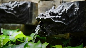Time lapse of dragon statue water outlet in the garden