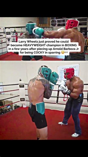 Larry Wheels HUMBLED a Pro Boxer 😭🥊
