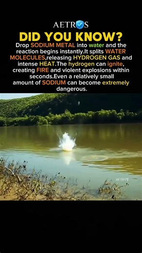 What Happens When Sodium Hits Water? #history #facts