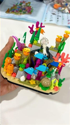 A little coral reef side quest 🪸