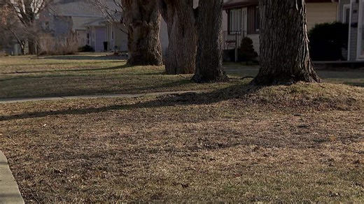 Warm spring allows Minnesotans to work on their lawns early