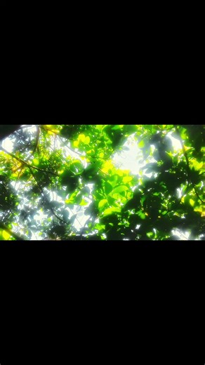 The Importance of Small Things in Life