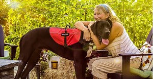 9 Types of Service Dogs