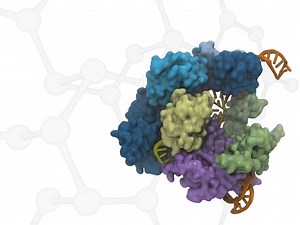Computational Biology Online Course - CPD Accredited