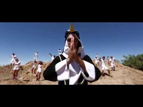 PONGA le Pingouin Judoka - Chorégraphie