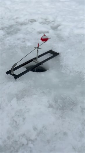 41 reactions · 15 comments | A tip-up is an ice fishing device that...