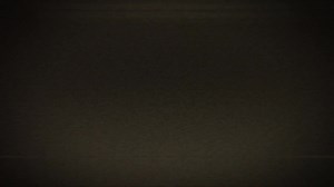 Zozobra Edit: Captivating and Creative Transformation